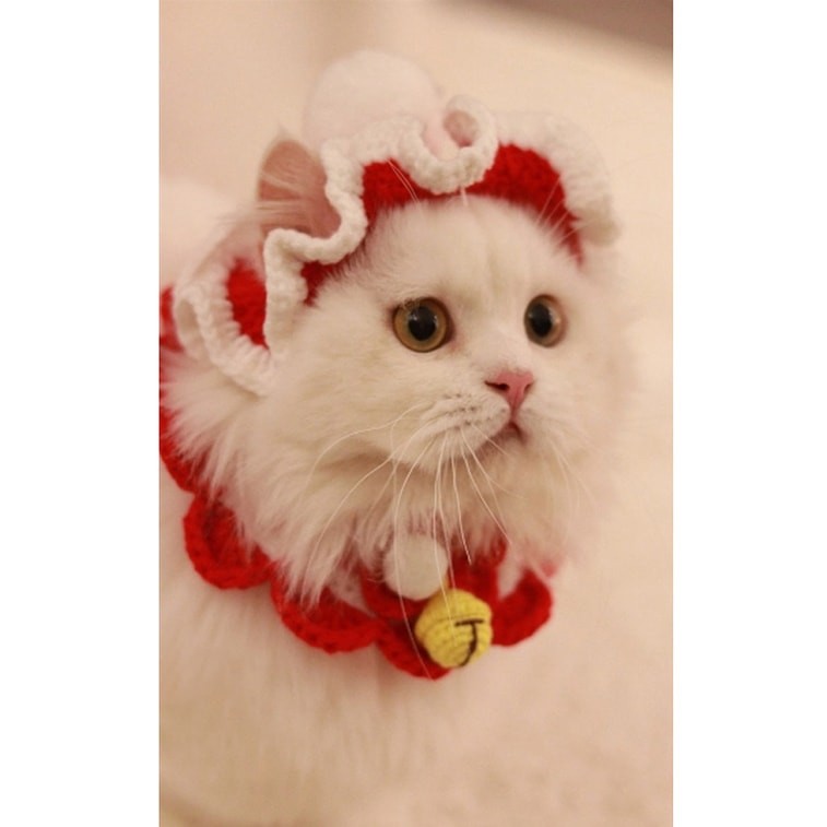 New Handmade Festive Atmosphere Pet Cat Collar New Year Red Bell S